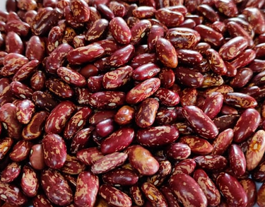 Chitra Rajma from Chakrata